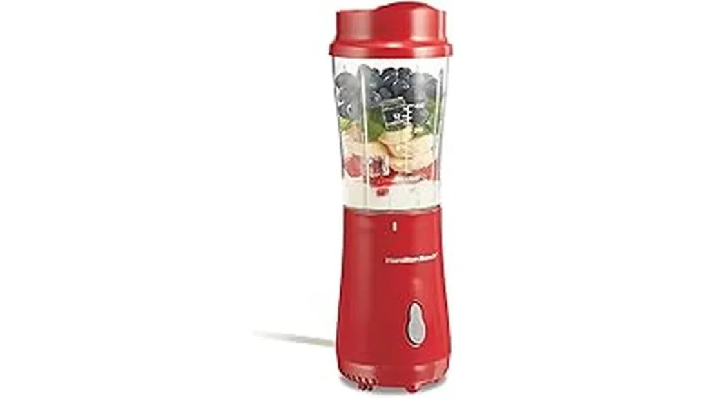Best Selling 6 Best Smoothie Maker Gift: Health-focused Gift